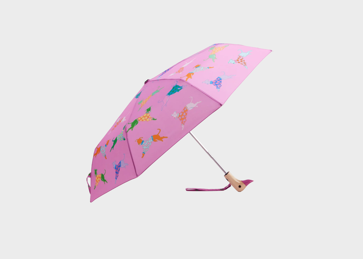 
                  
                    Duck Umbrella
                  
                