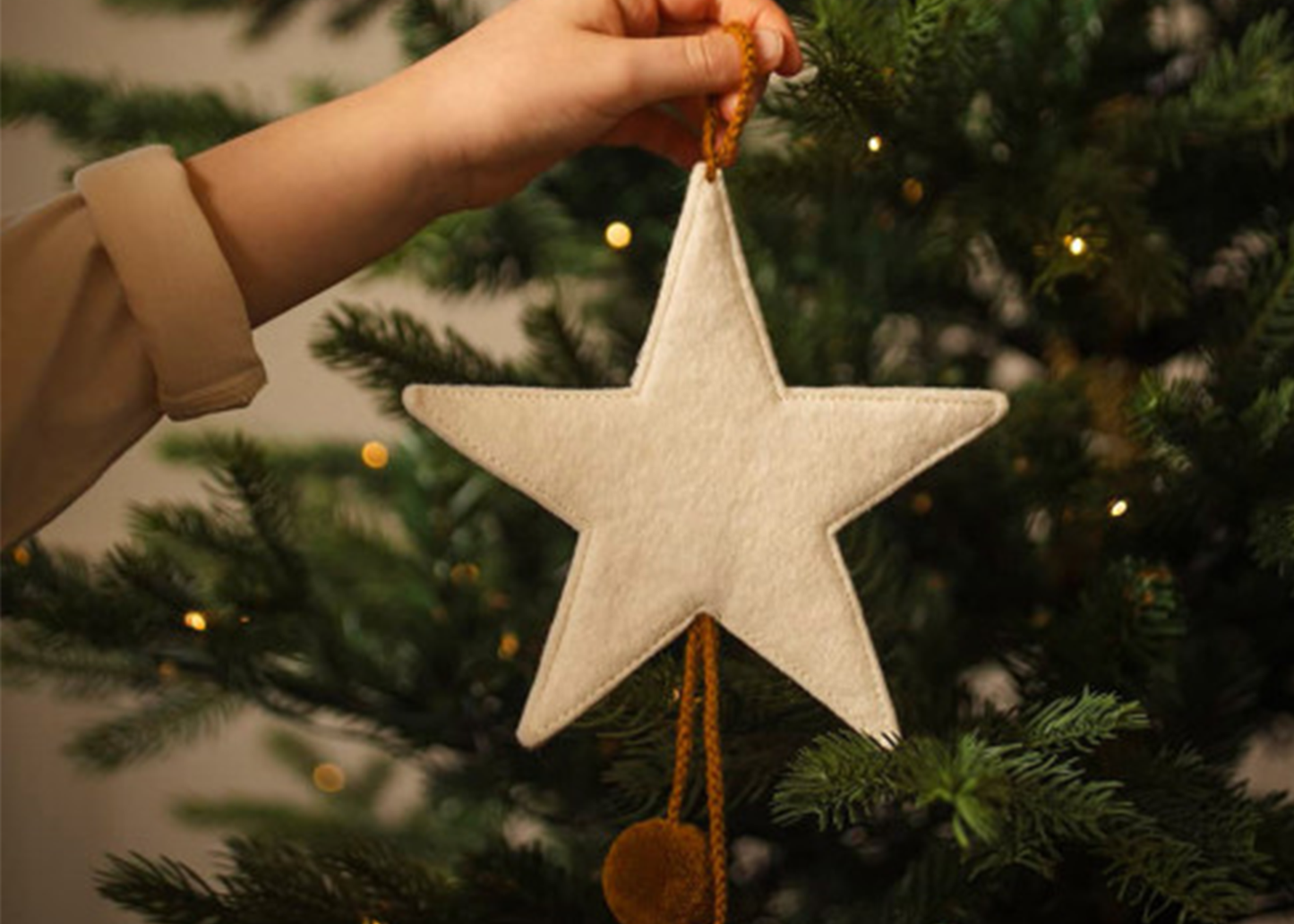 
                  
                    Pom-Pom Hanging Star
                  
                
