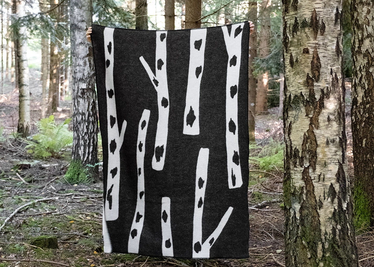 
                  
                    Birch Wool Blanket
                  
                