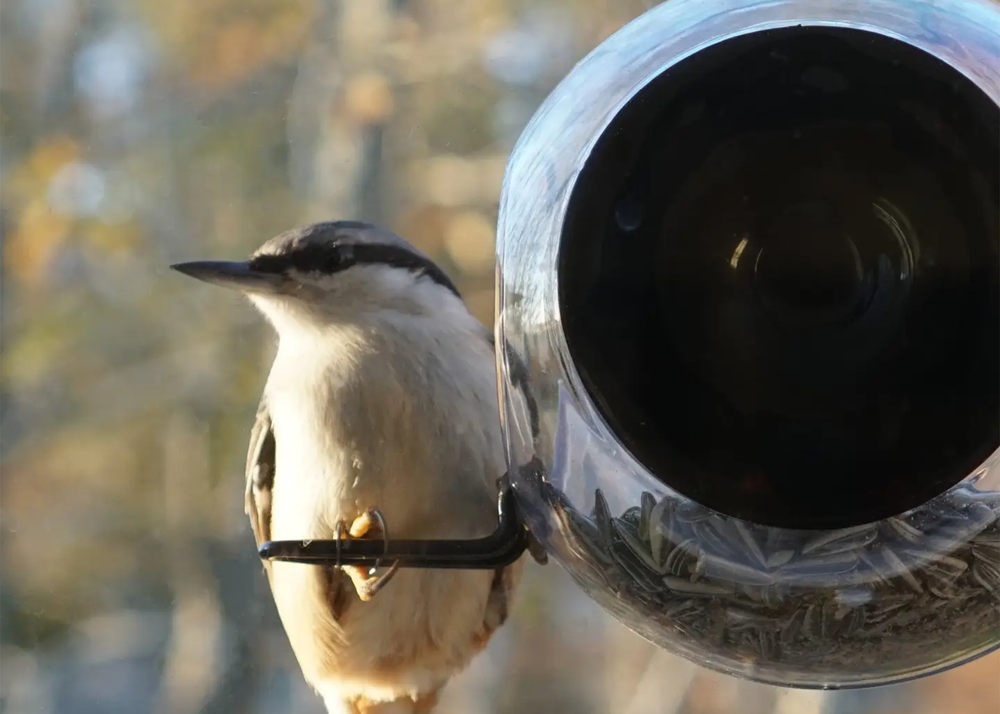 
                  
                    Window Birdfeeder
                  
                