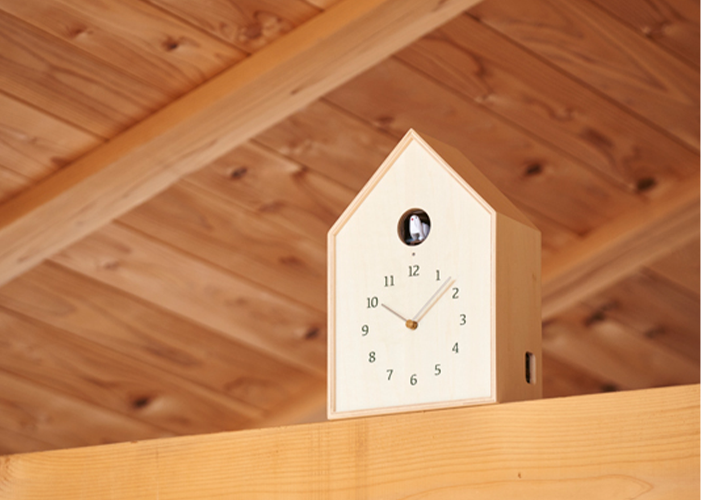 
                  
                    Birdhouse Clock
                  
                