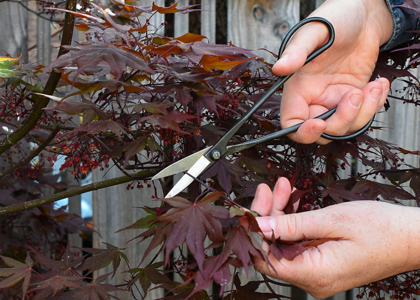 bonsai tree scissors Niwaki Sentei Bonsai Scissors – Woodland Mod