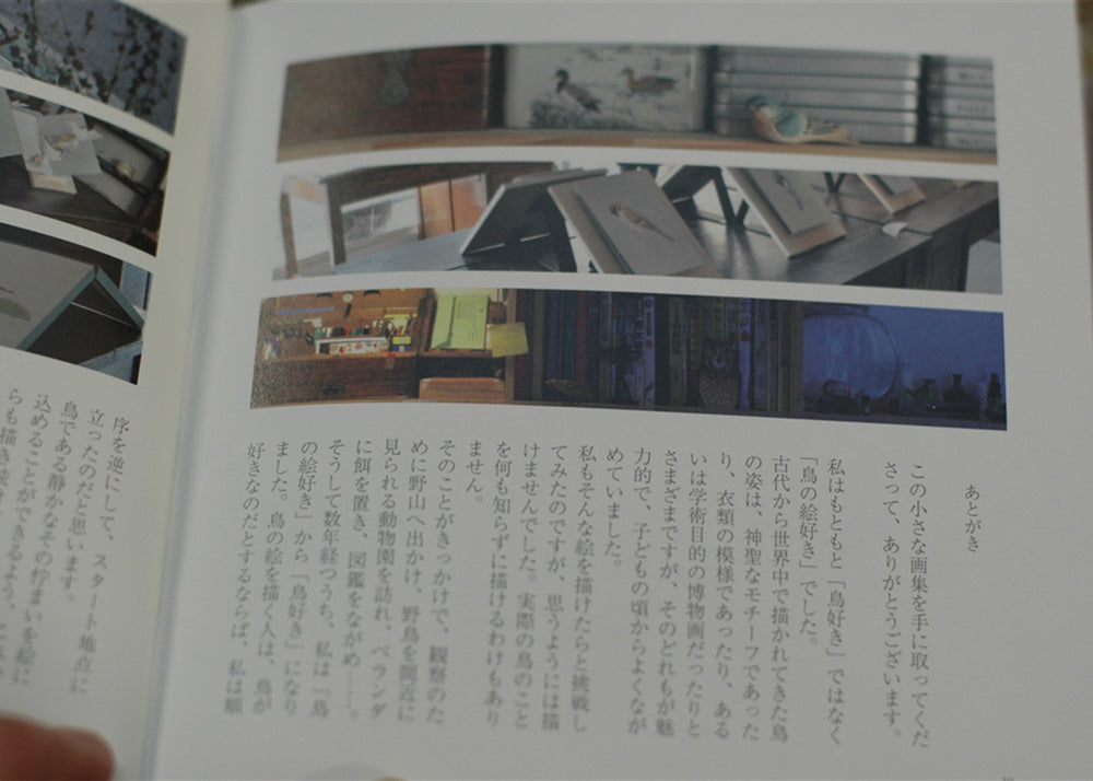 
                  
                    Bird Illustrations Book
                  
                