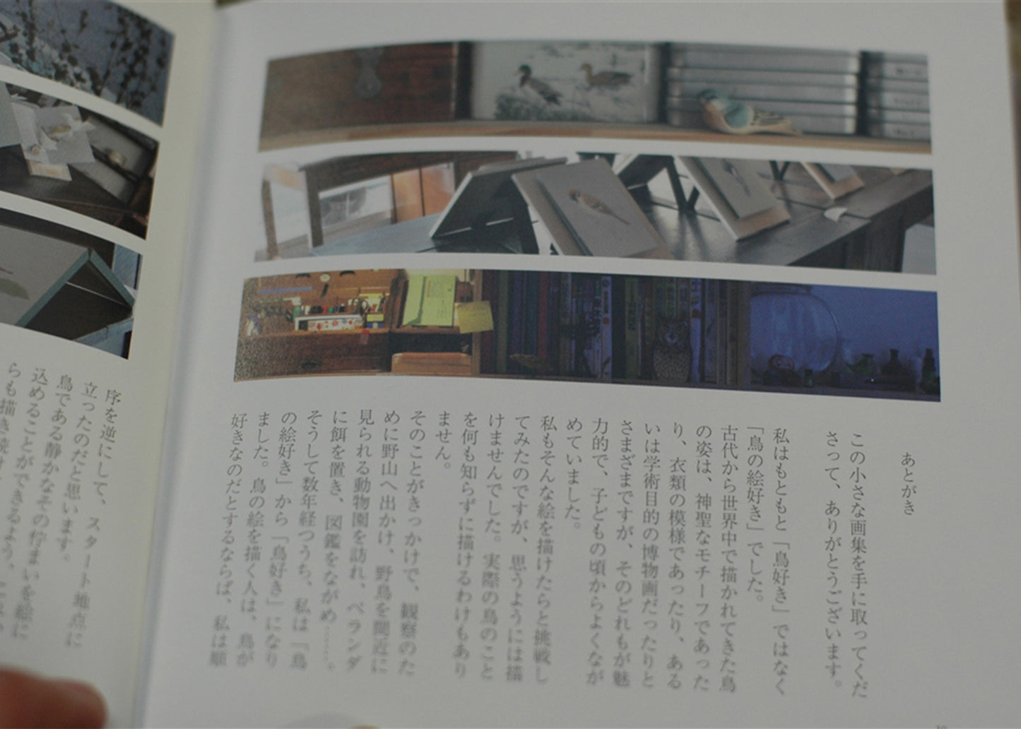
                  
                    Bird Illustrations Book
                  
                