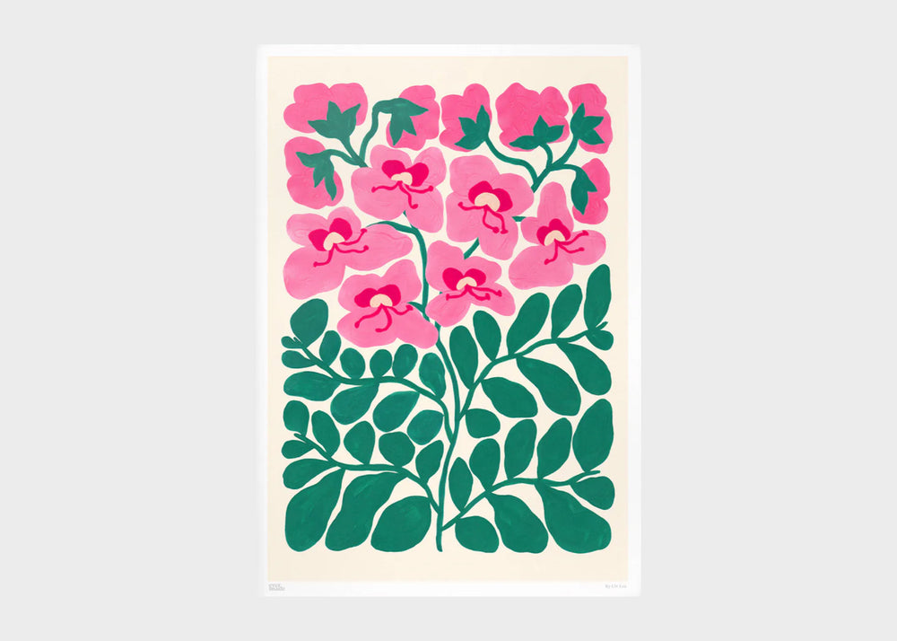 Print No. 476