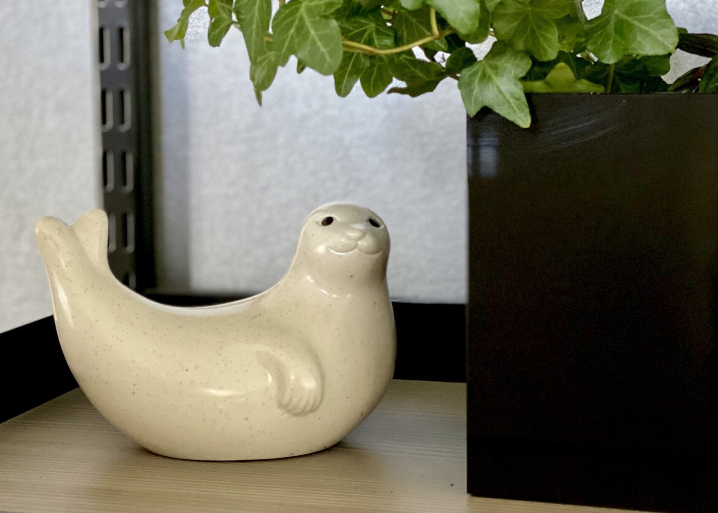 
                  
                    Palaset Seal Bank
                  
                