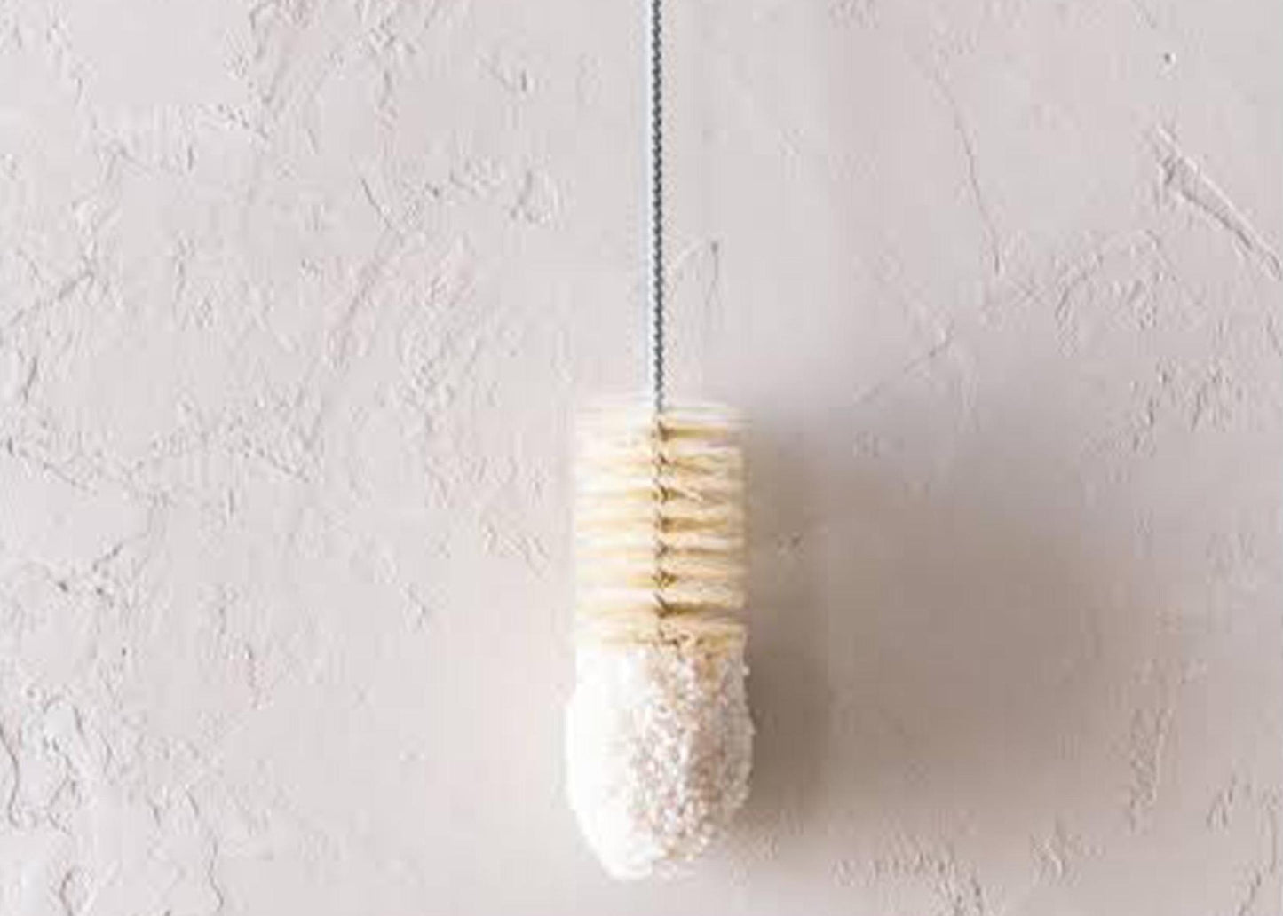 
                  
                    Champagne Flute Brush
                  
                