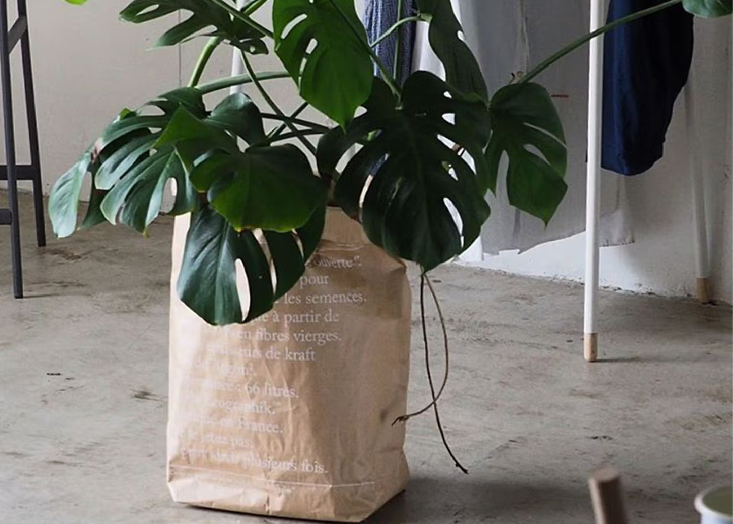 
                  
                    The Brown Paper Bag
                  
                