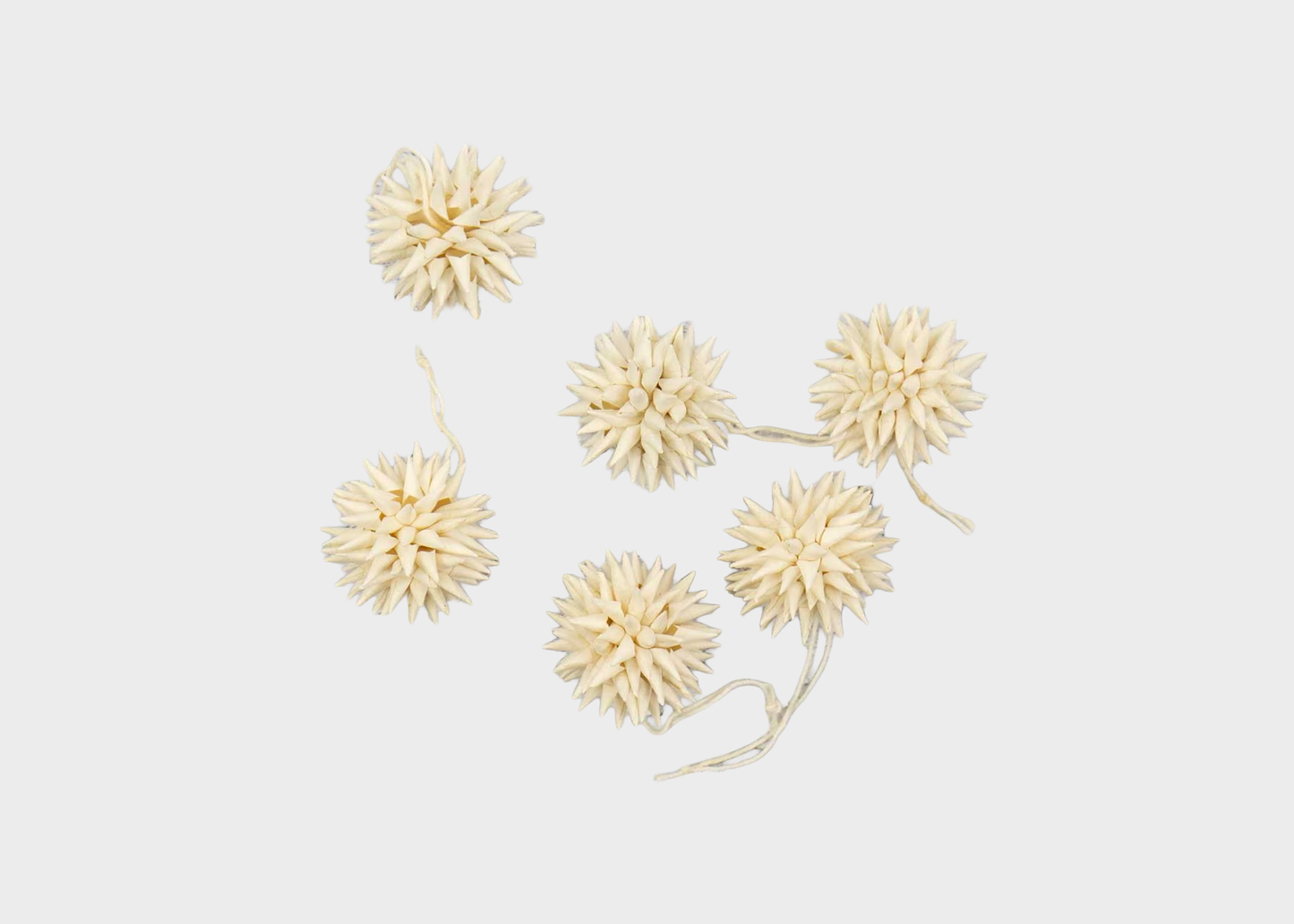 
                  
                    KOTTE MINI Ornaments
                  
                