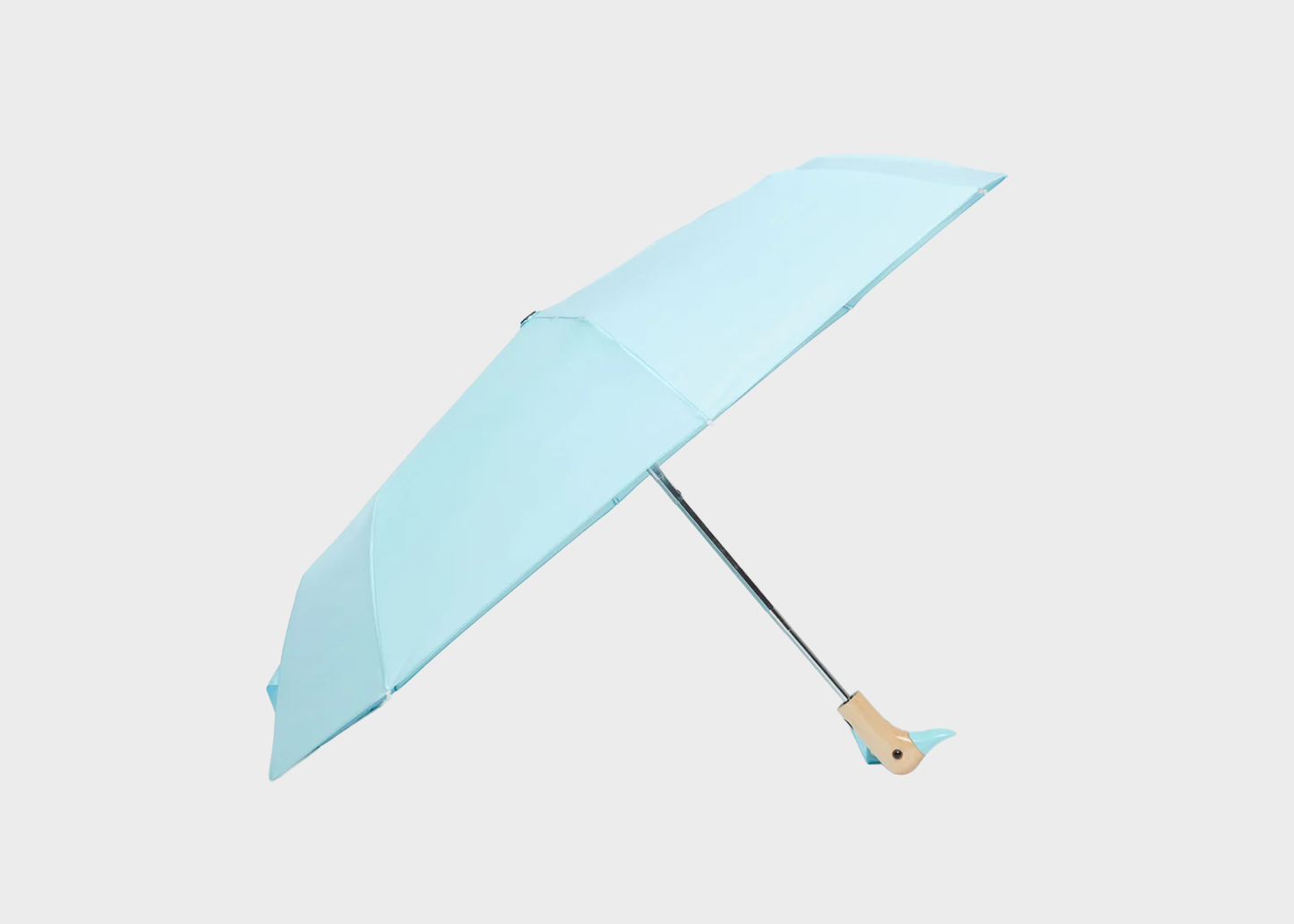 
                  
                    Duck Umbrella
                  
                