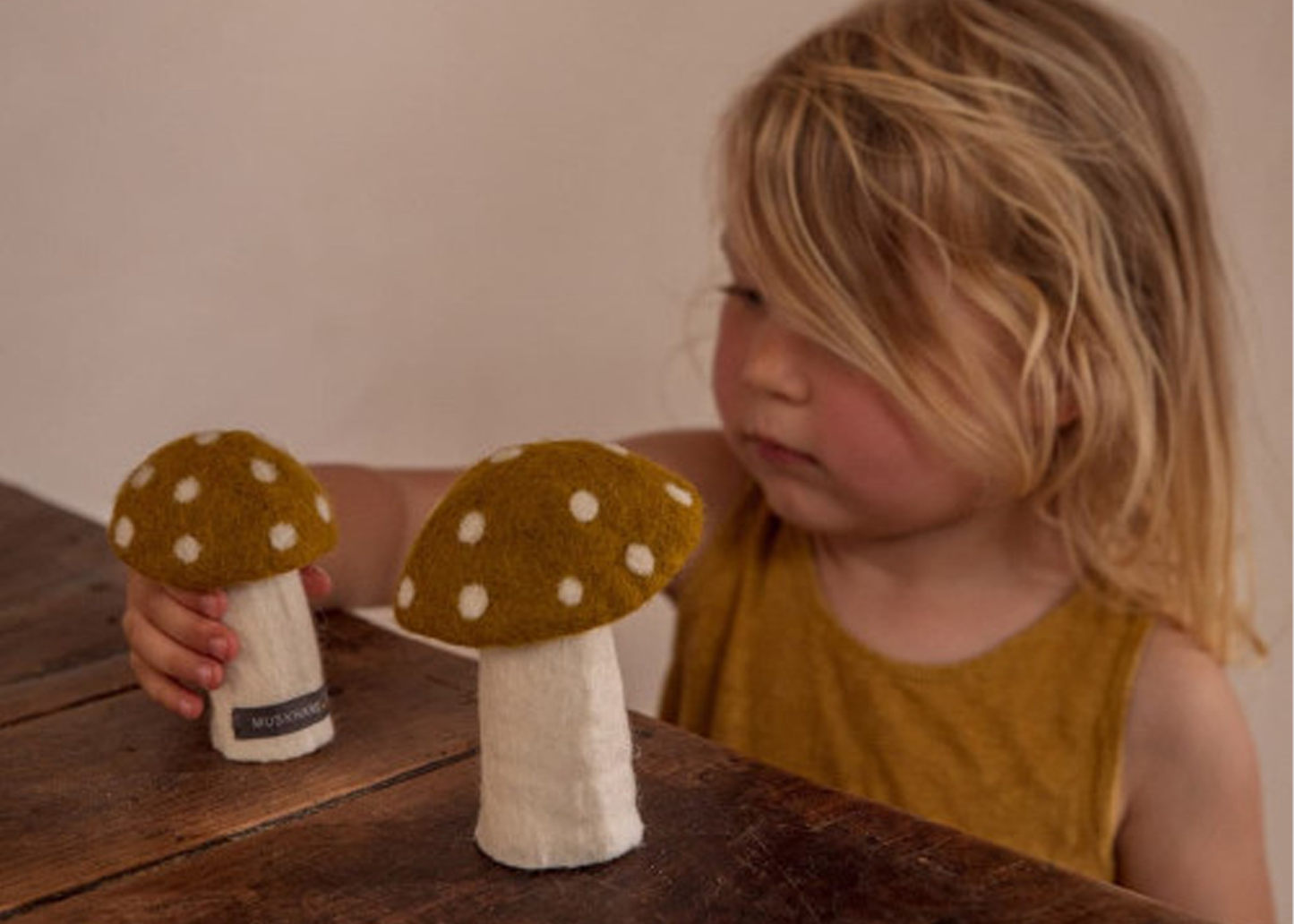 
                  
                    Felted Dotted Mushrooms
                  
                
