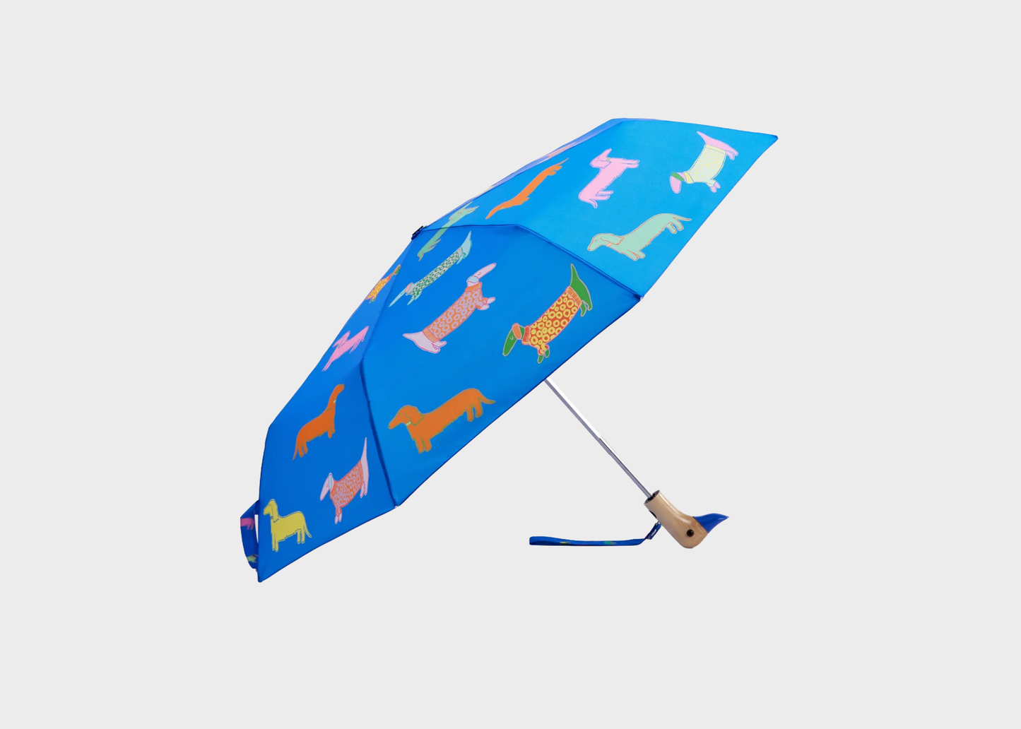
                  
                    Duck Umbrella
                  
                