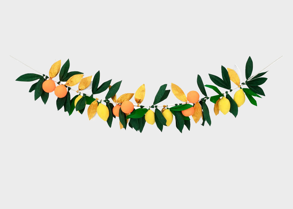 Citrus Fruit Garland