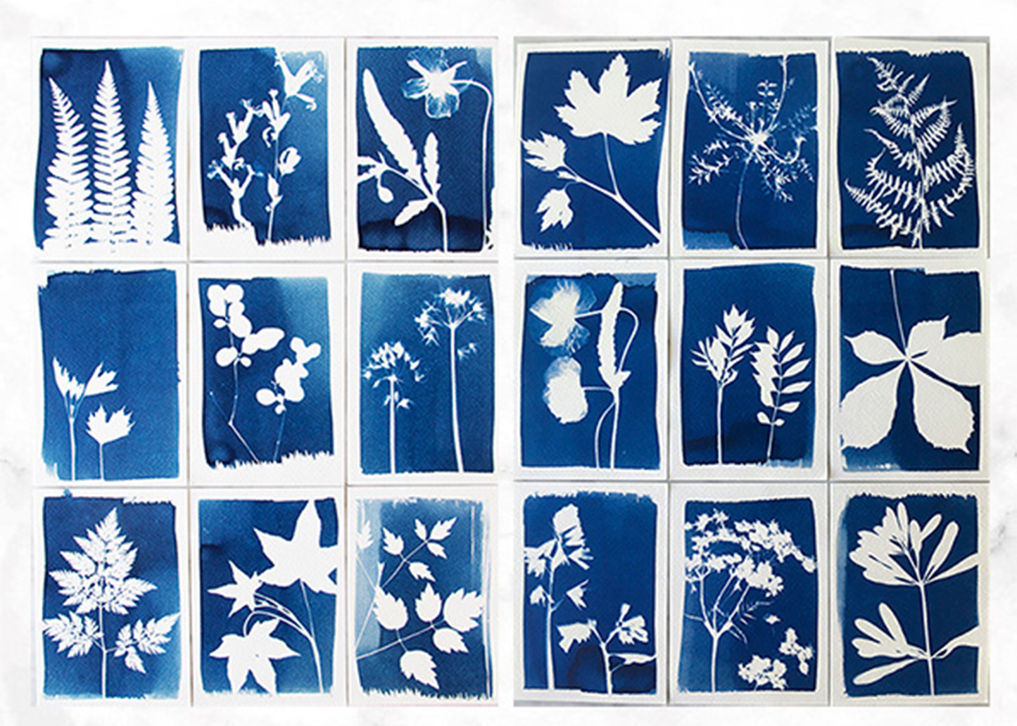 
                  
                    Cyanotype Kit
                  
                