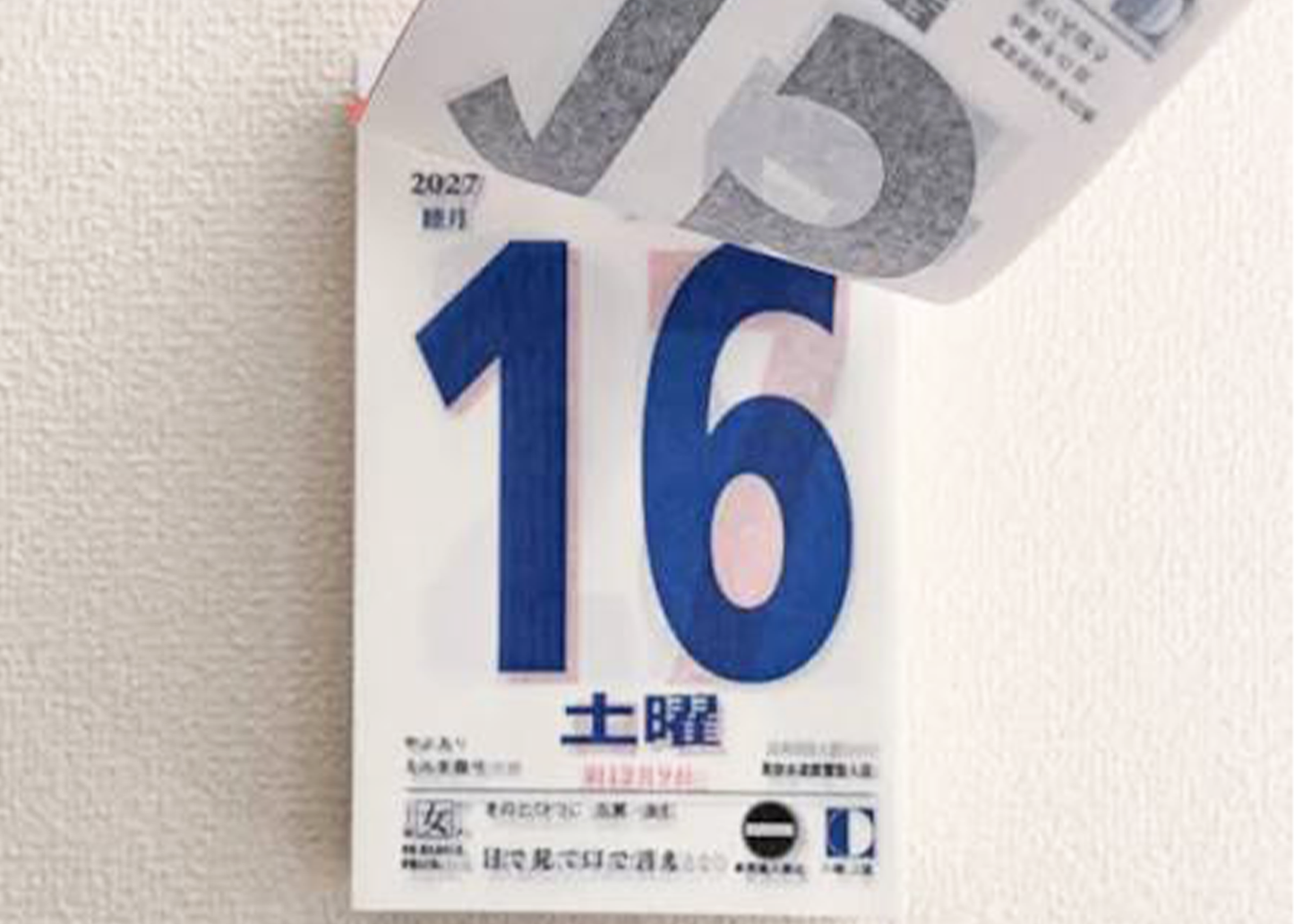 
                  
                    Japanese Daily Calendar 2027
                  
                