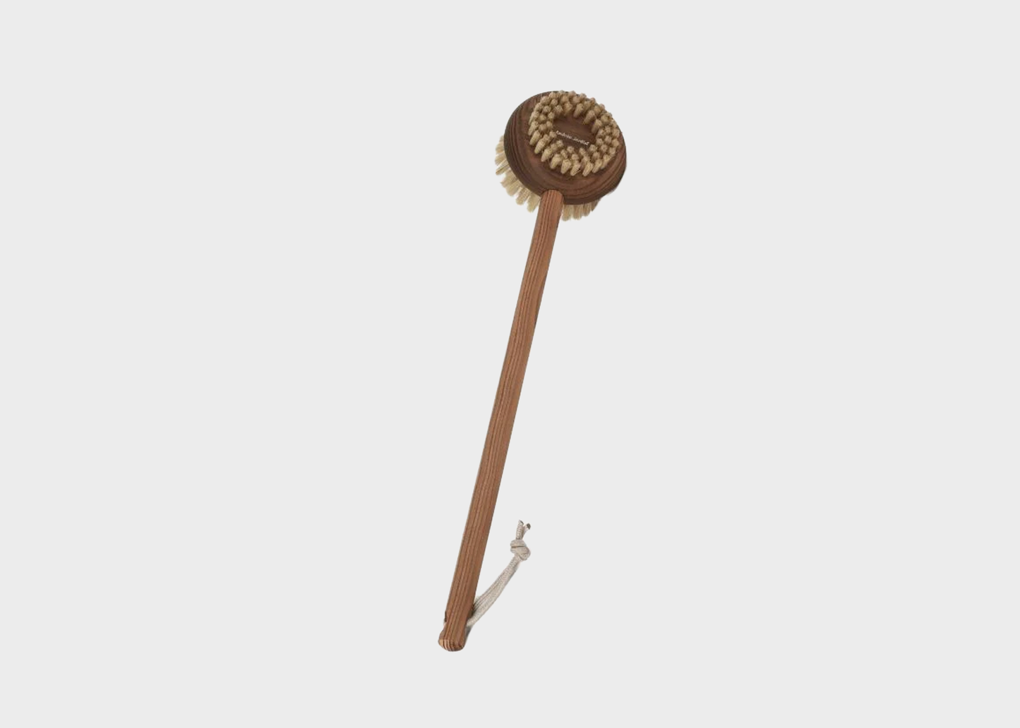 
                  
                    Long Handled Back Brush
                  
                