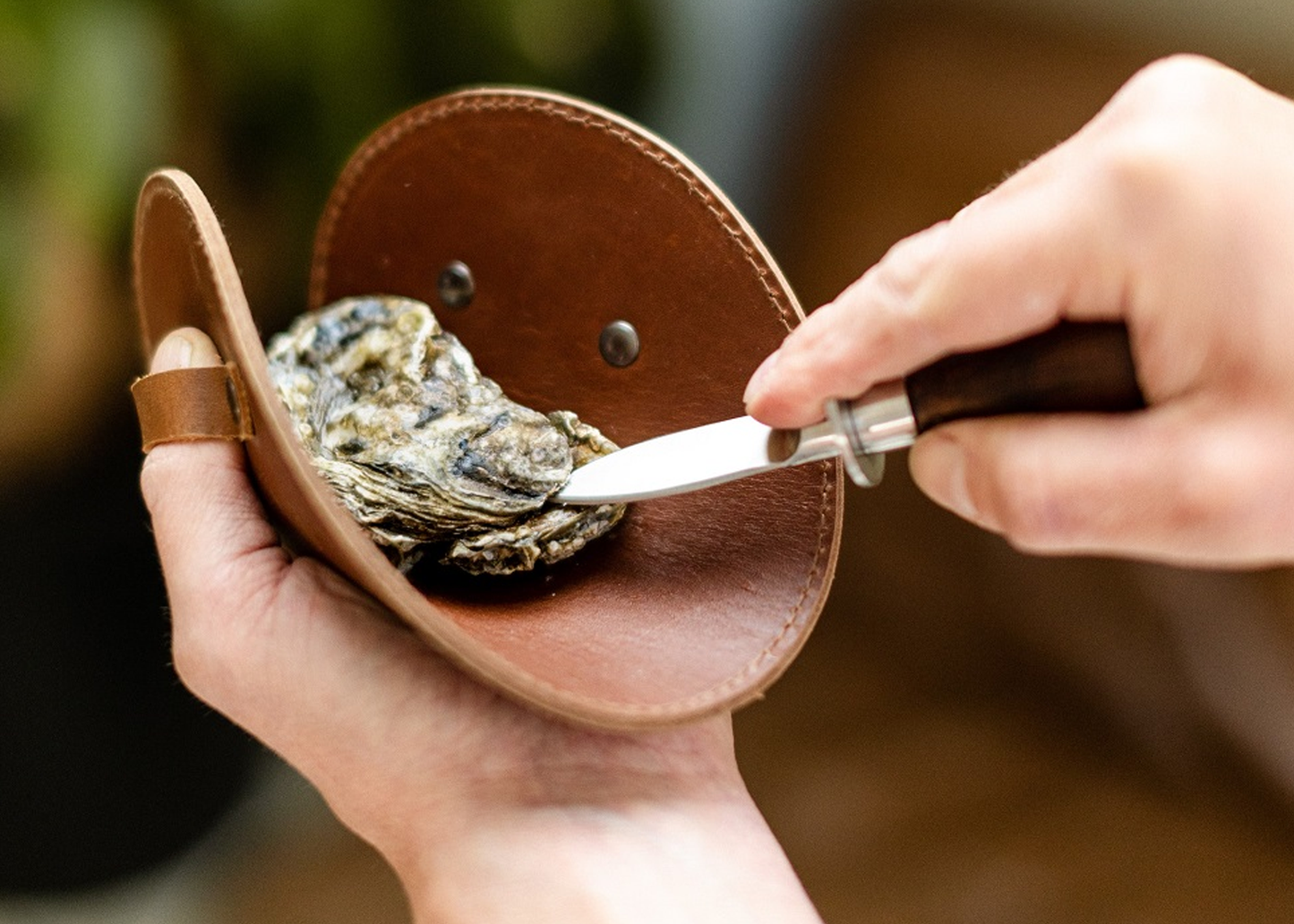 
                  
                    Oyster Set with Leather Glove
                  
                