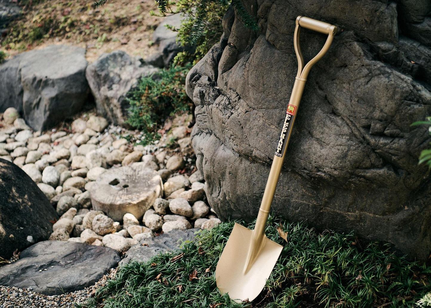 
                  
                    Golden Spade
                  
                