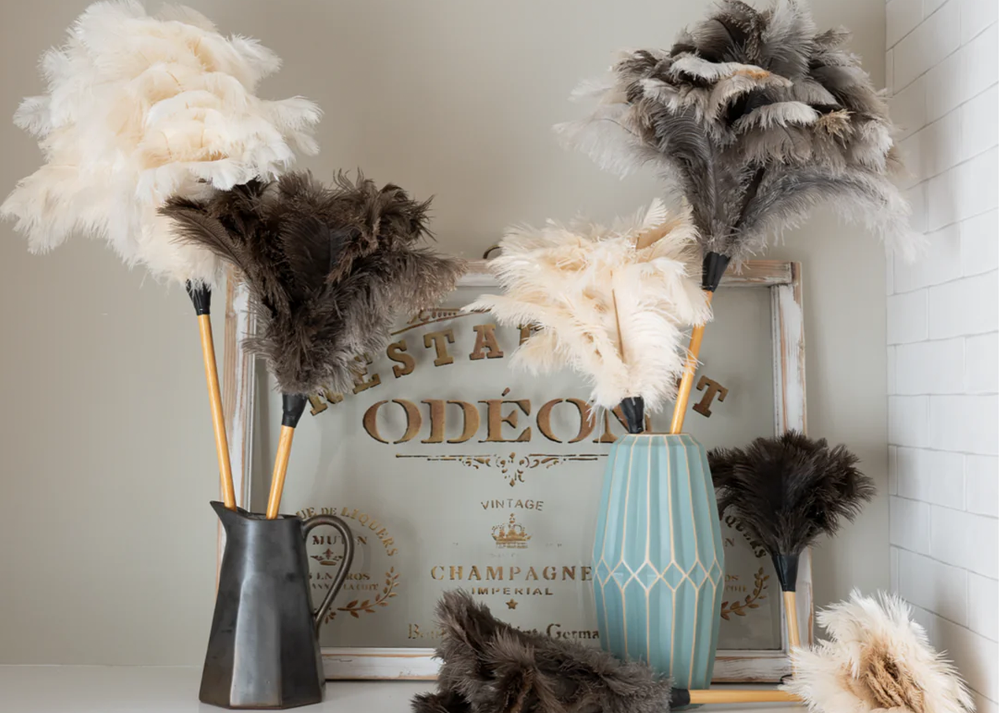 
                  
                    Feather Duster
                  
                