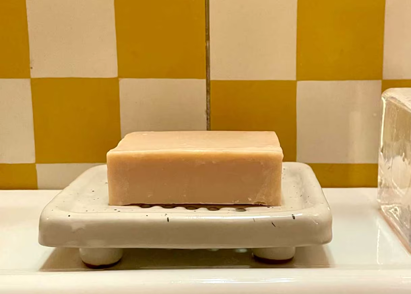 
                  
                    EARTH Soap Dish
                  
                