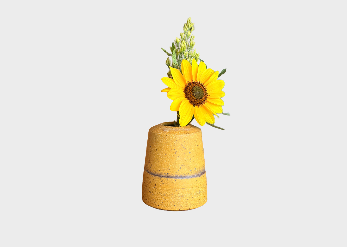 
                  
                    Spring Valley Bud Vase
                  
                