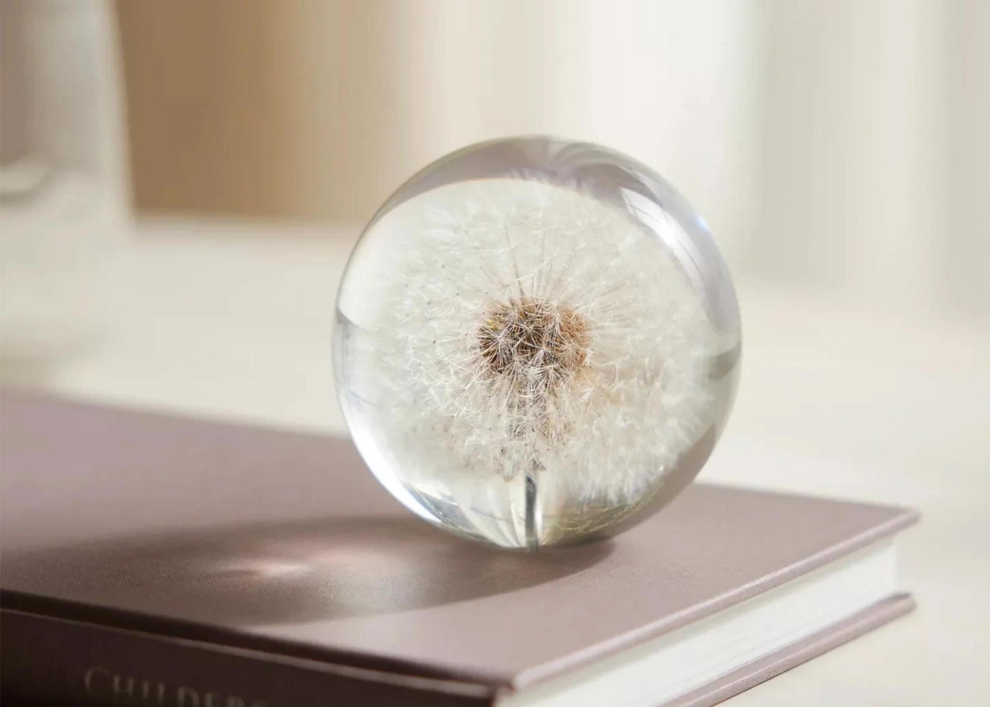 
                  
                    Botanical Resin Paperweight
                  
                
