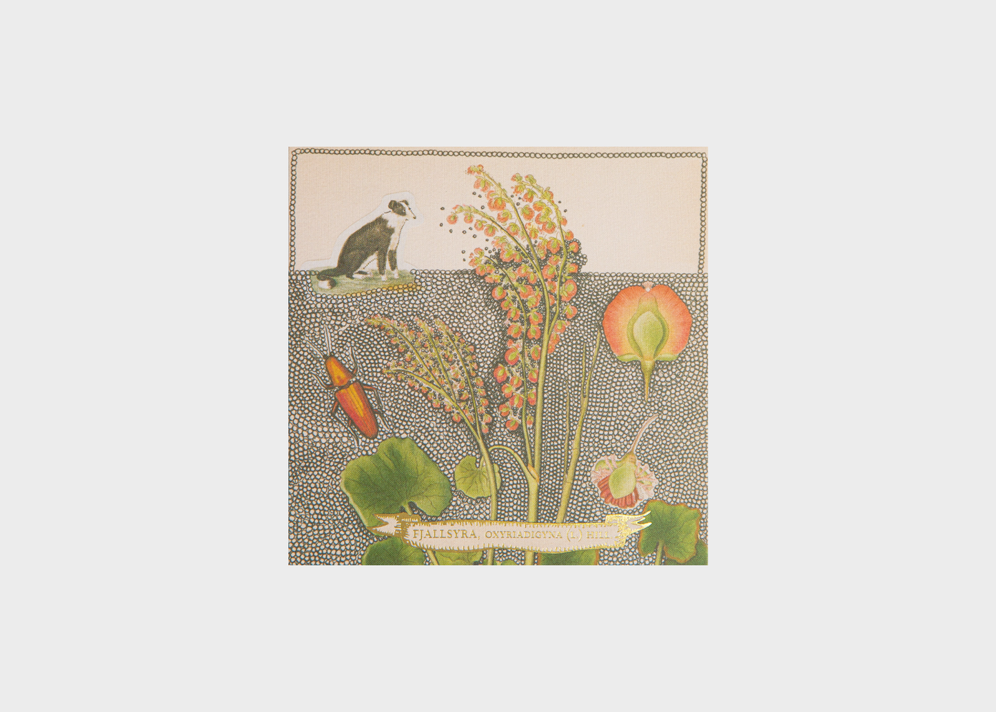 
                  
                    Archivist Matchbox
                  
                