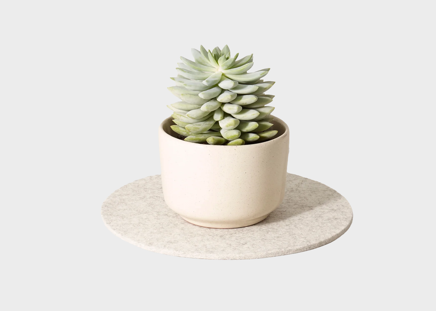
                  
                    Felt Round Trivet 10"
                  
                