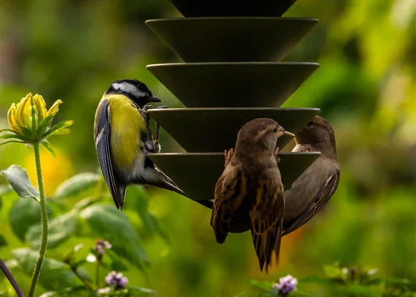 
                  
                    Bird Silo
                  
                
