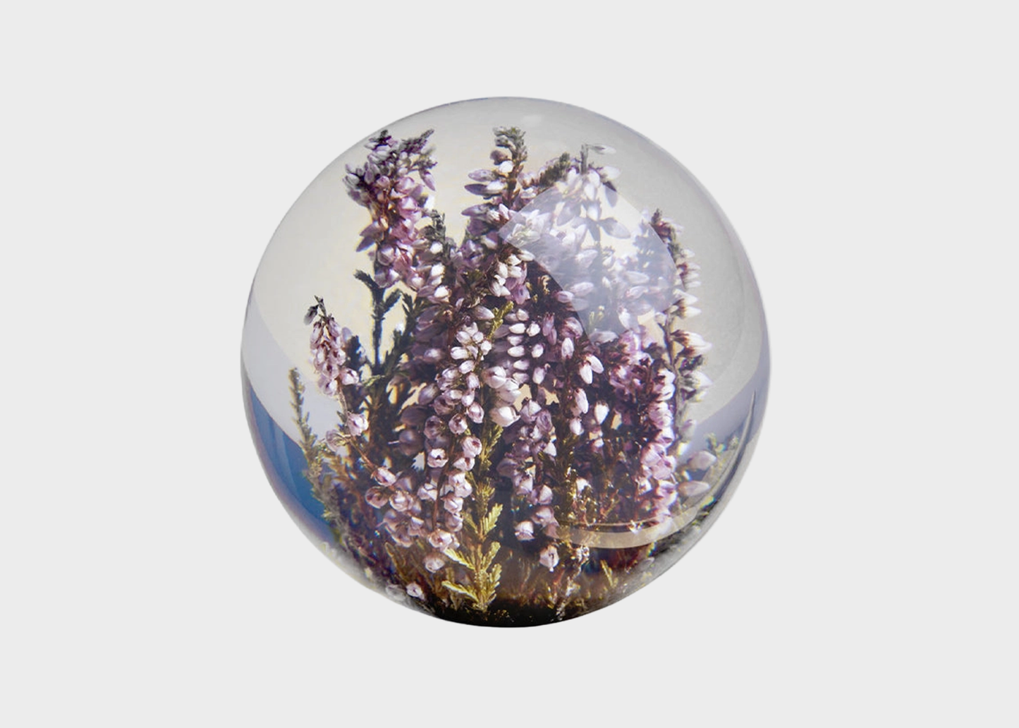 
                  
                    Botanical Resin Paperweight
                  
                