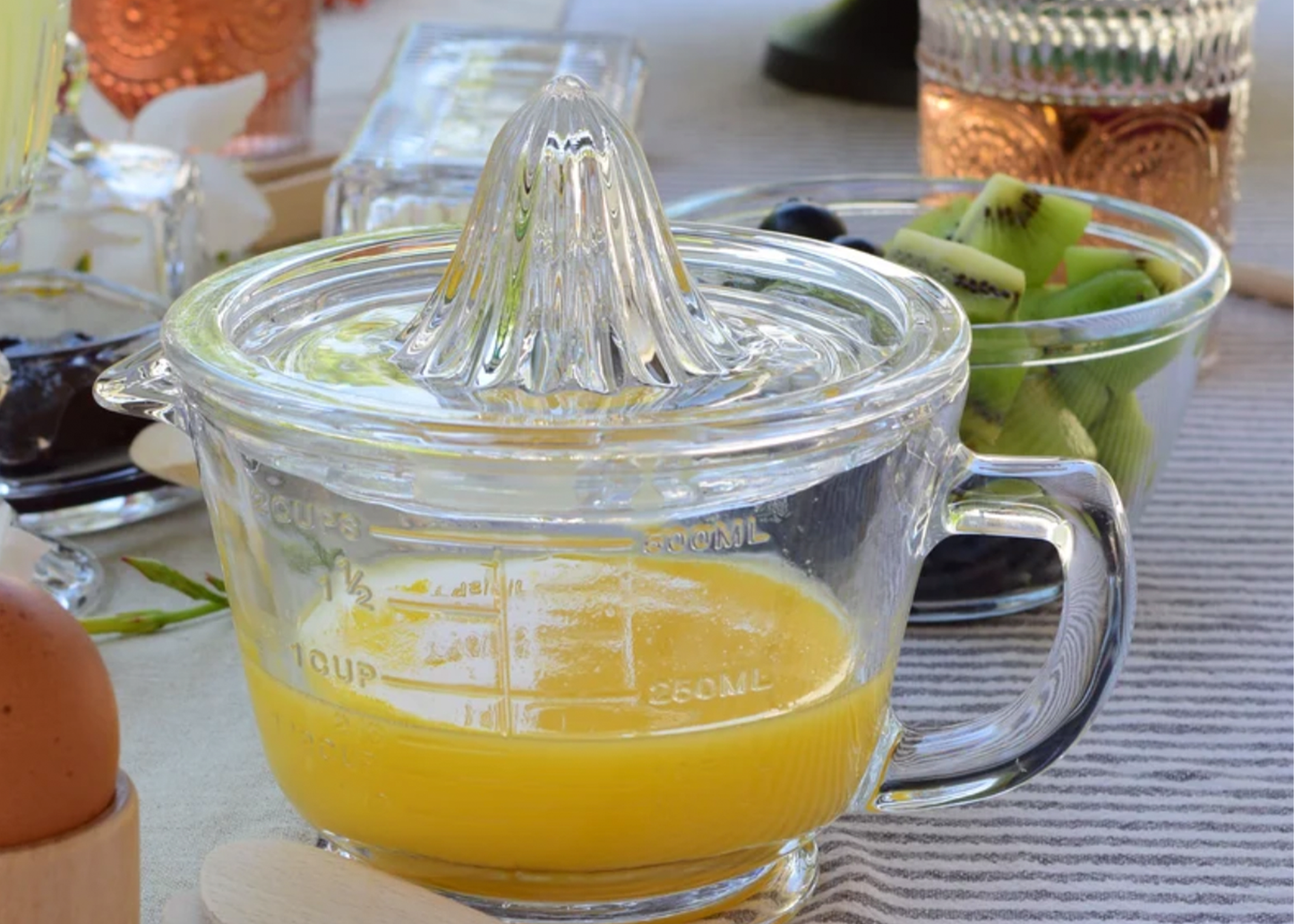 
                  
                    Citrus Juicer
                  
                