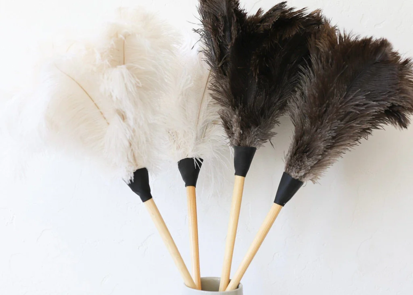 
                  
                    Feather Duster
                  
                