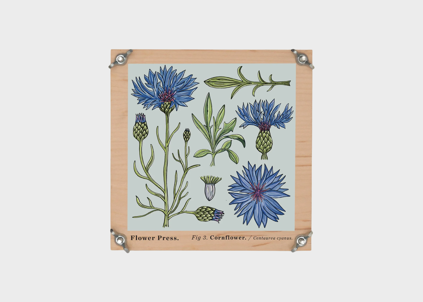 
                  
                    Flower Press
                  
                
