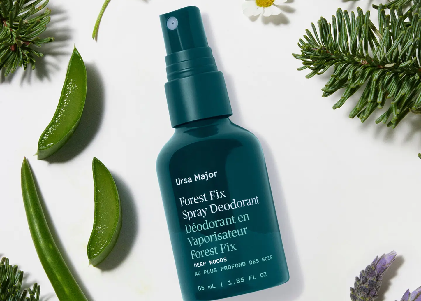 
                  
                    Forest Fix Spray Deodorant
                  
                