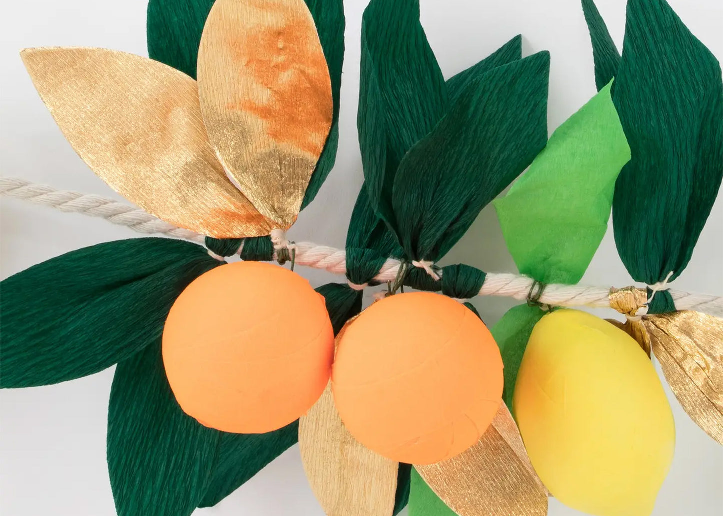 
                  
                    Citrus Fruit Garland
                  
                