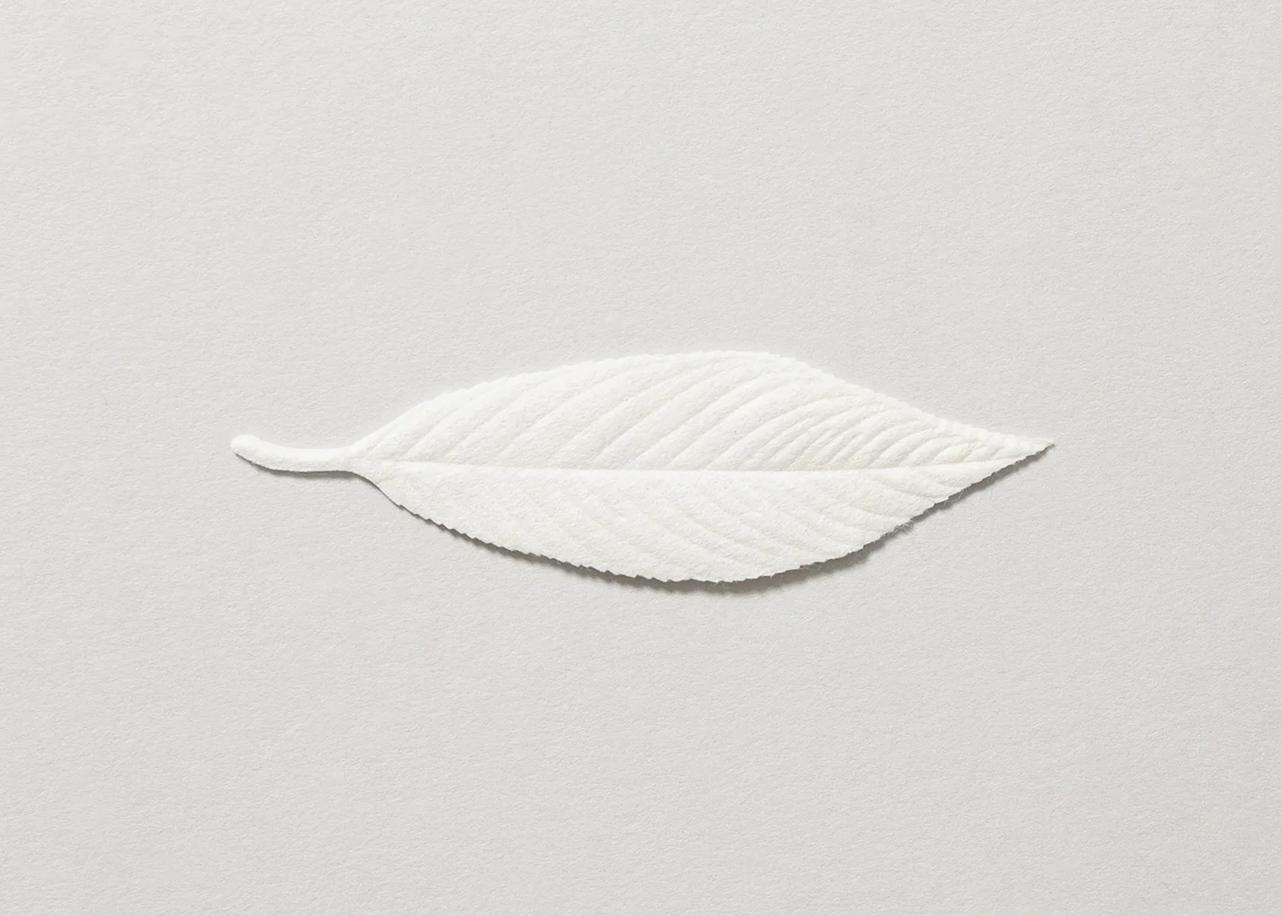 
                  
                    HA KO Paper Incense
                  
                