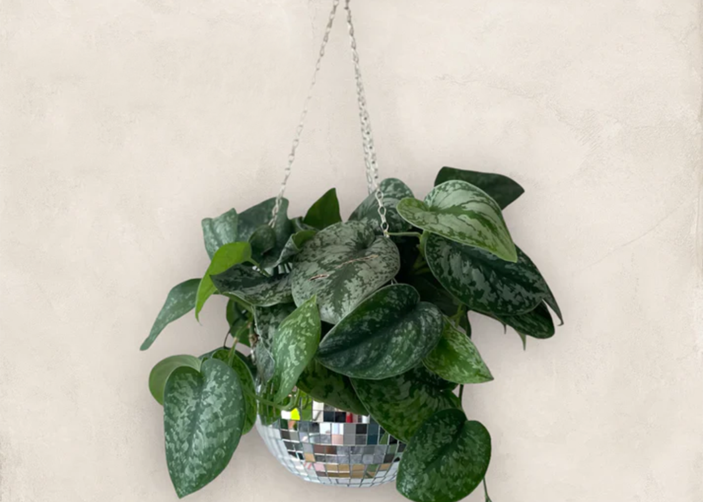 self watering disco ball planter Disco Ball Planter – Woodland Mod