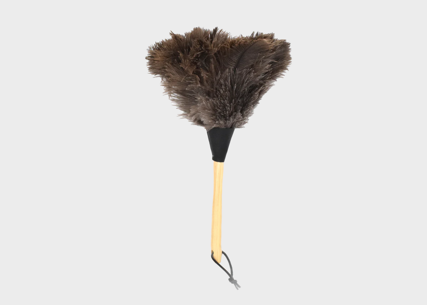 
                  
                    Feather Duster
                  
                