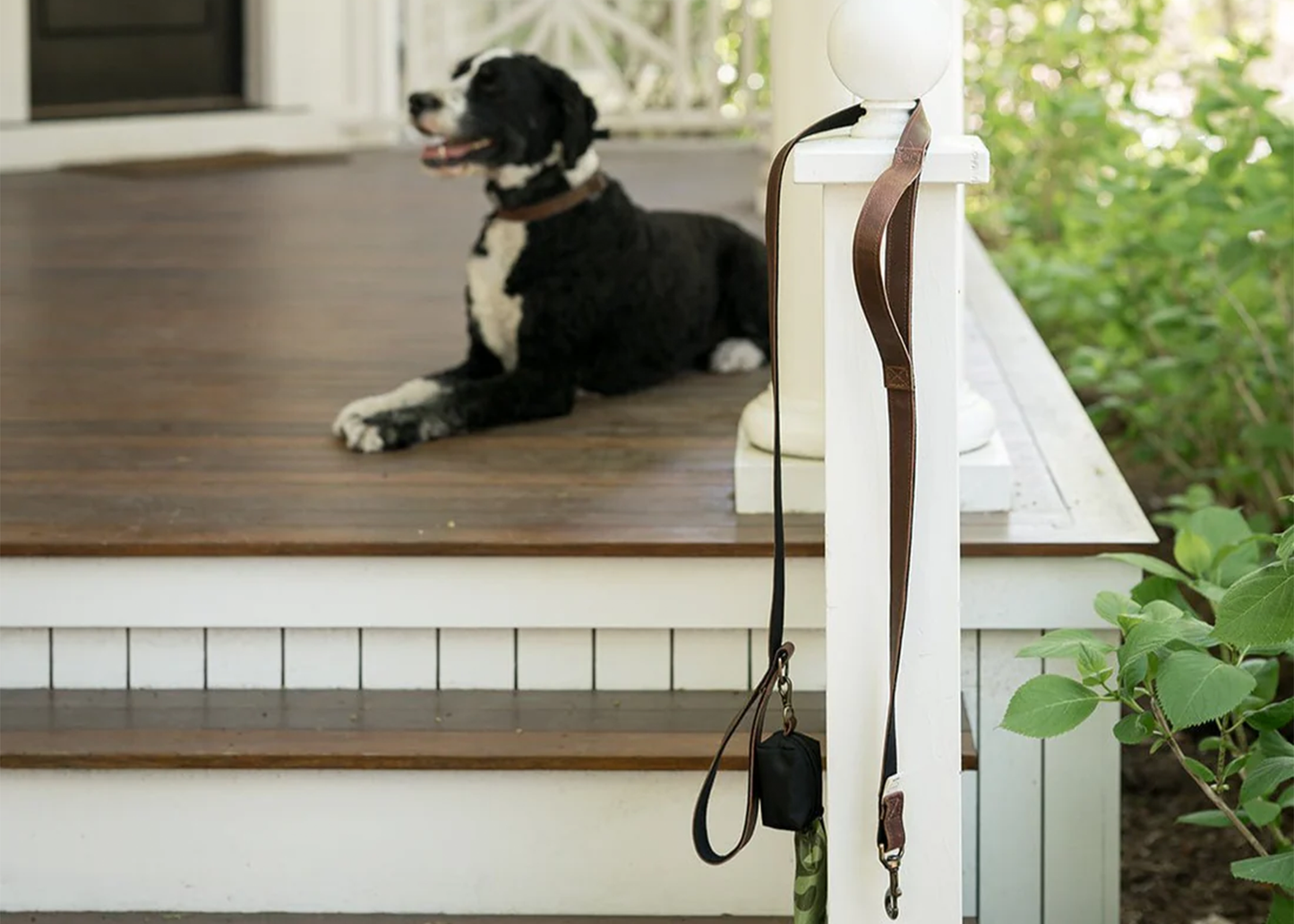 
                  
                    Dog Leash & Poop Bag
                  
                