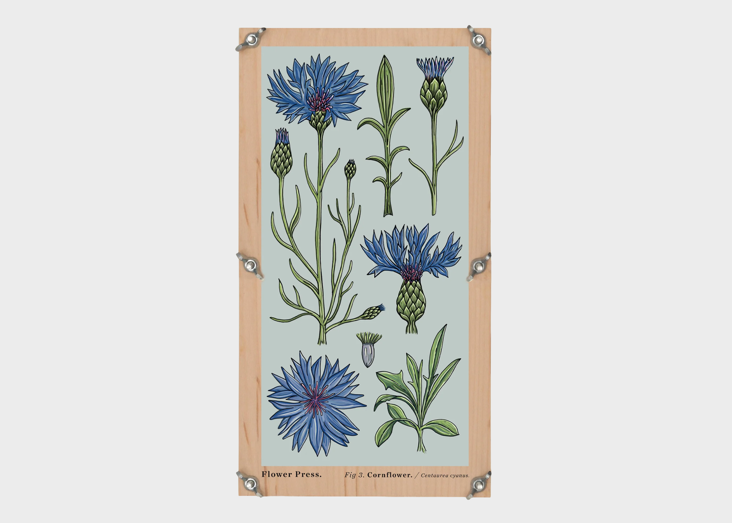 
                  
                    Large Flower Press
                  
                