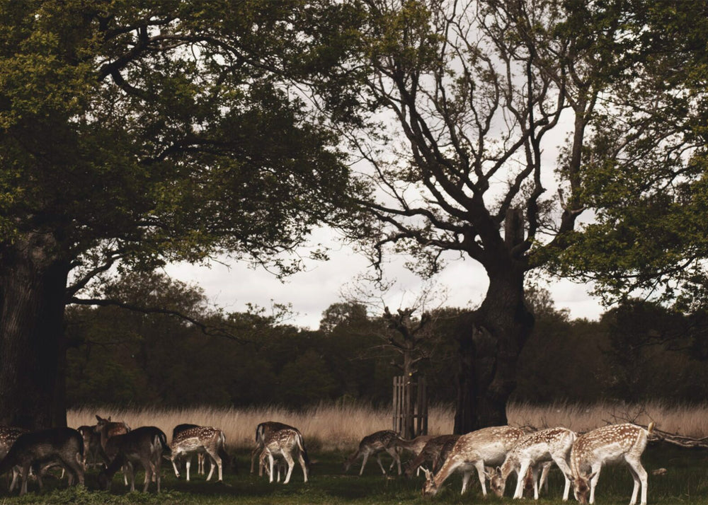 
                  
                    The Weekender London - Vol. 2
                  
                