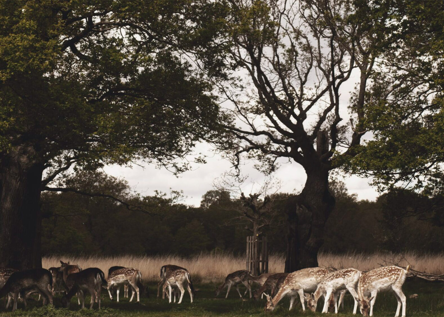 
                  
                    The Weekender London - Vol. 2
                  
                