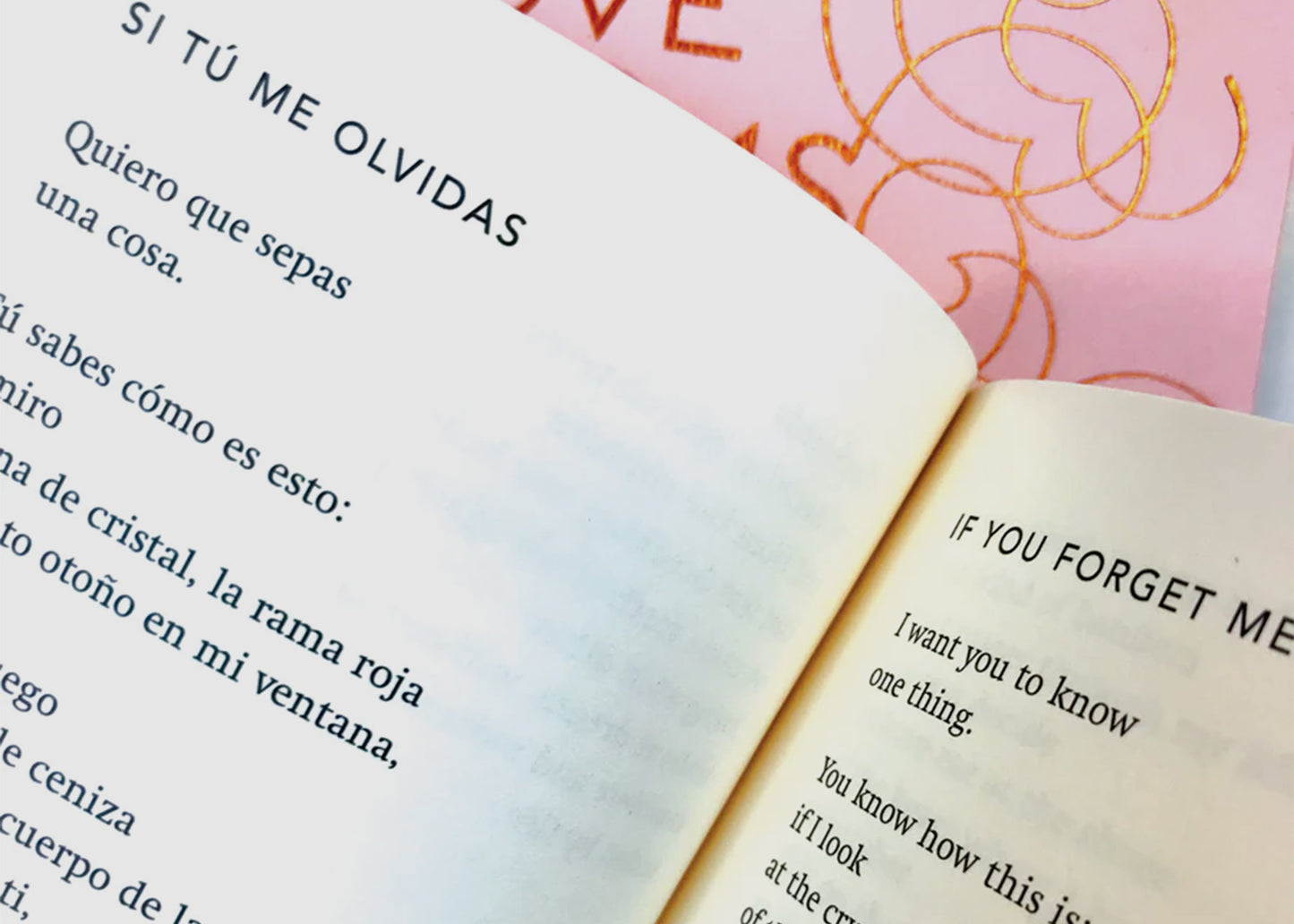 
                  
                    Love Poems by Pablo Neruda inside
                  
                