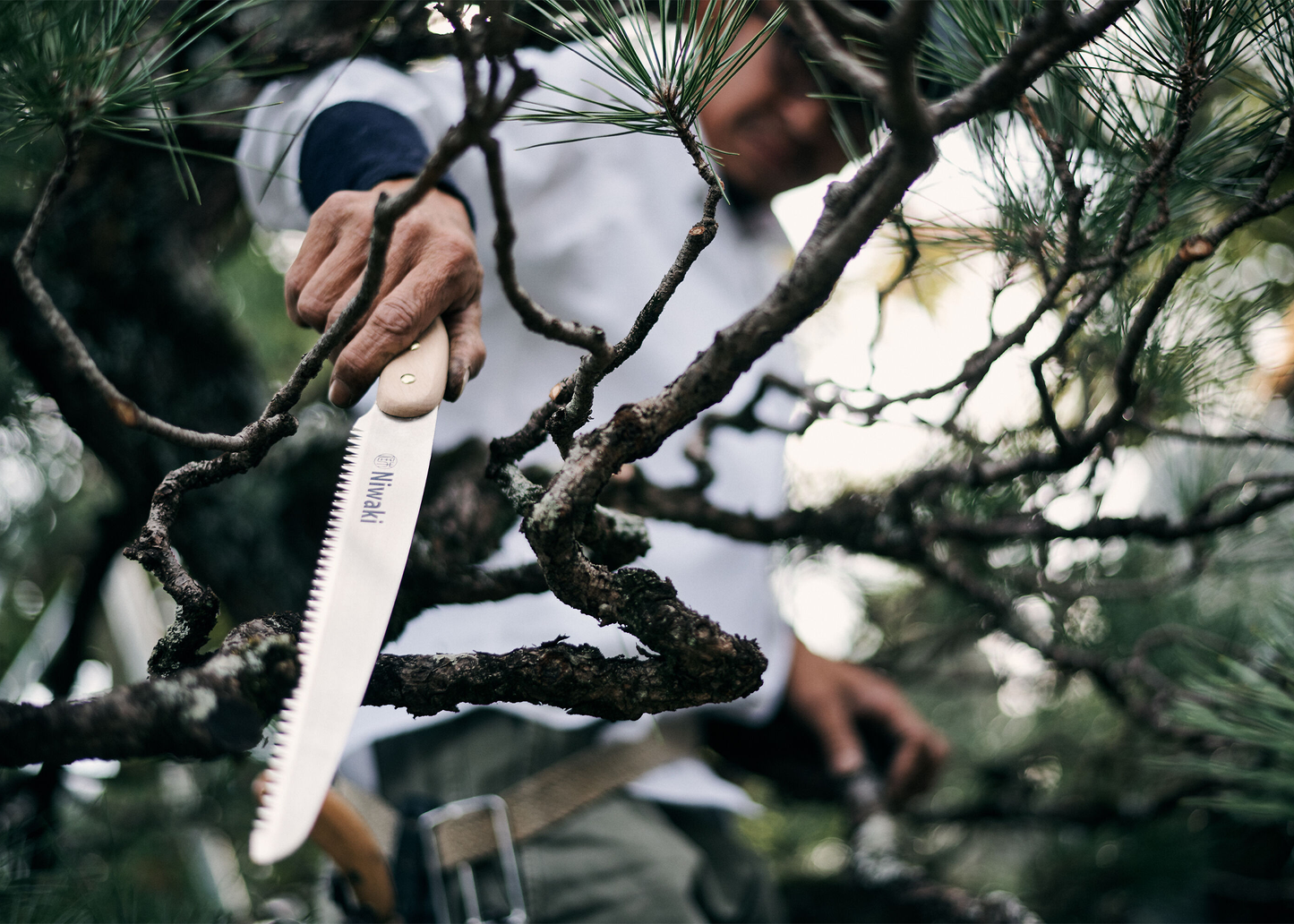 
                  
                    Moku Pruning Saw
                  
                