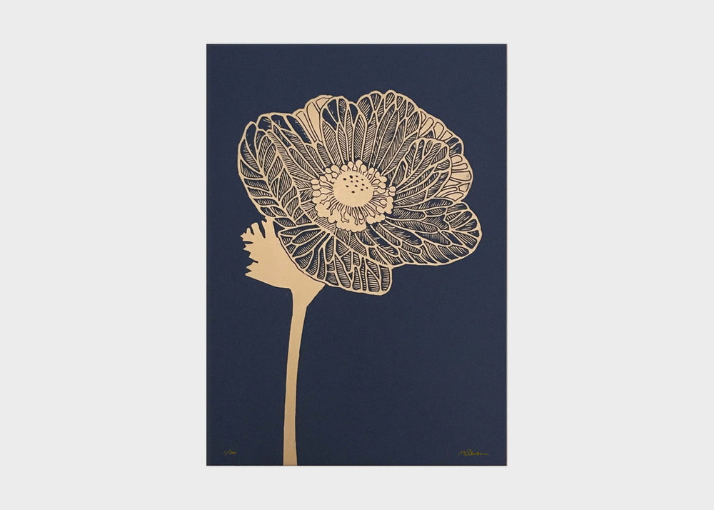 Print No. 486