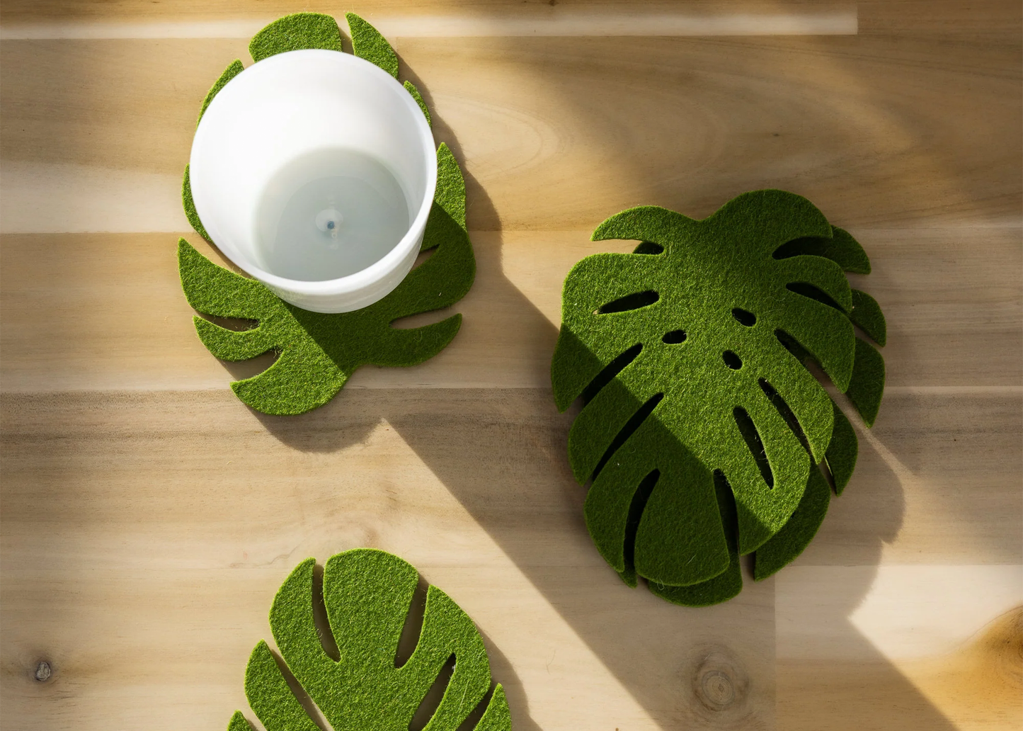 
                  
                    Monstera Wool Coaster 4 Pack
                  
                