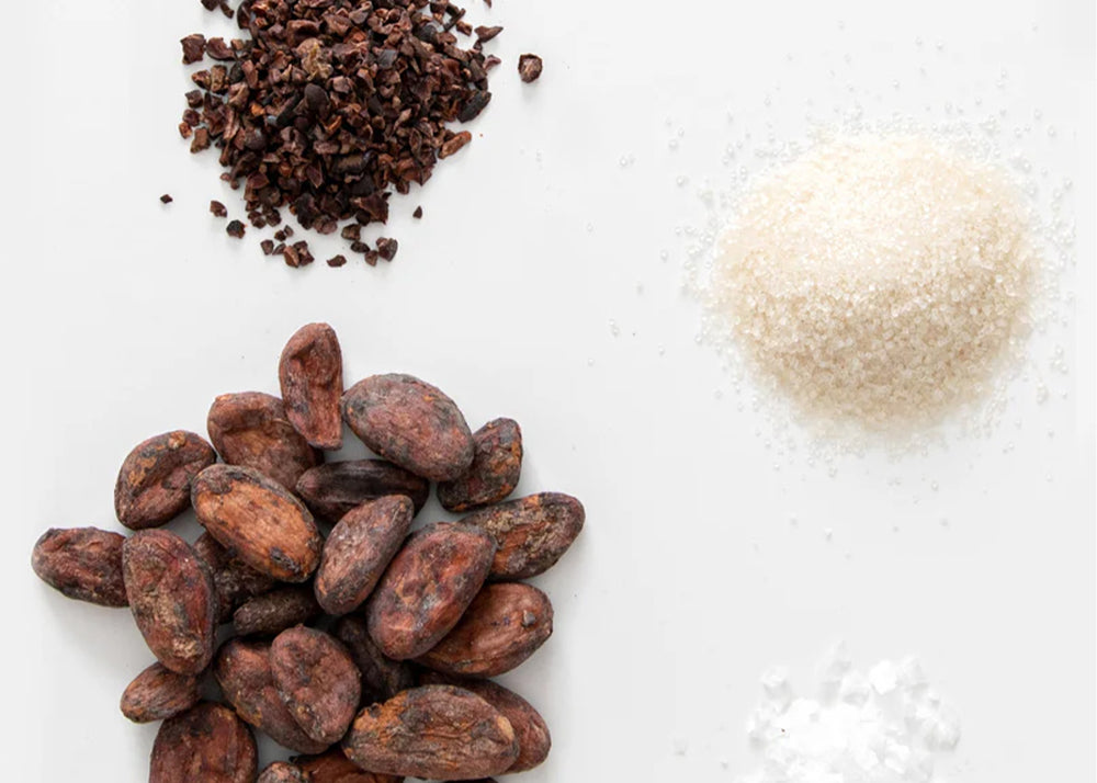 
                  
                    Cocoa beans, cocoa powder, and sugar on a white background
                  
                