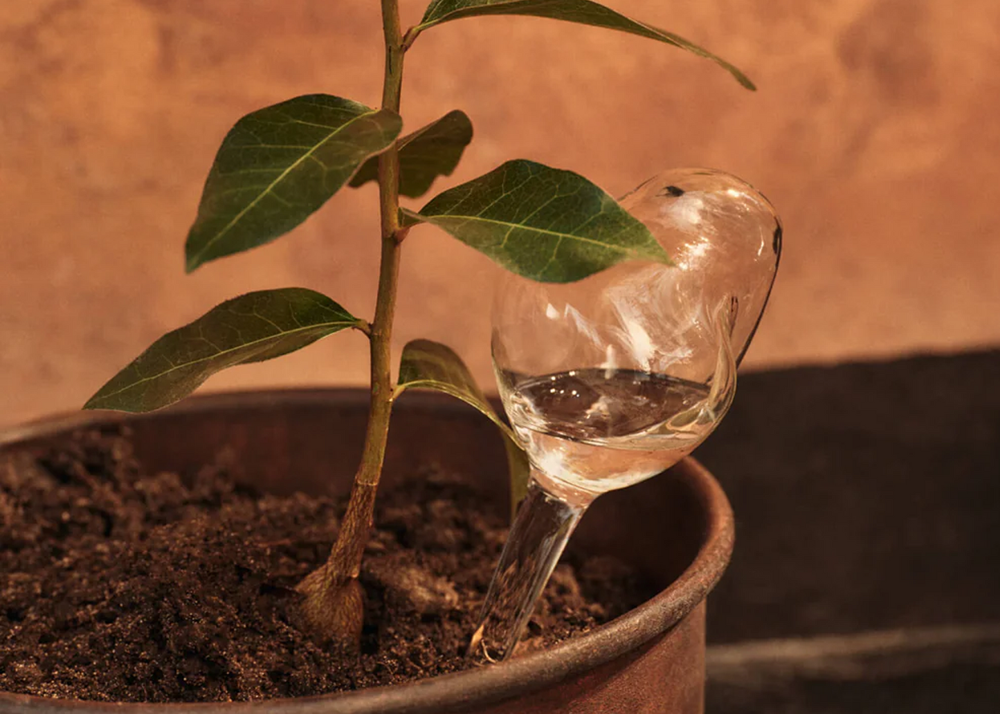 
                  
                    Mercury Water Globes
                  
                