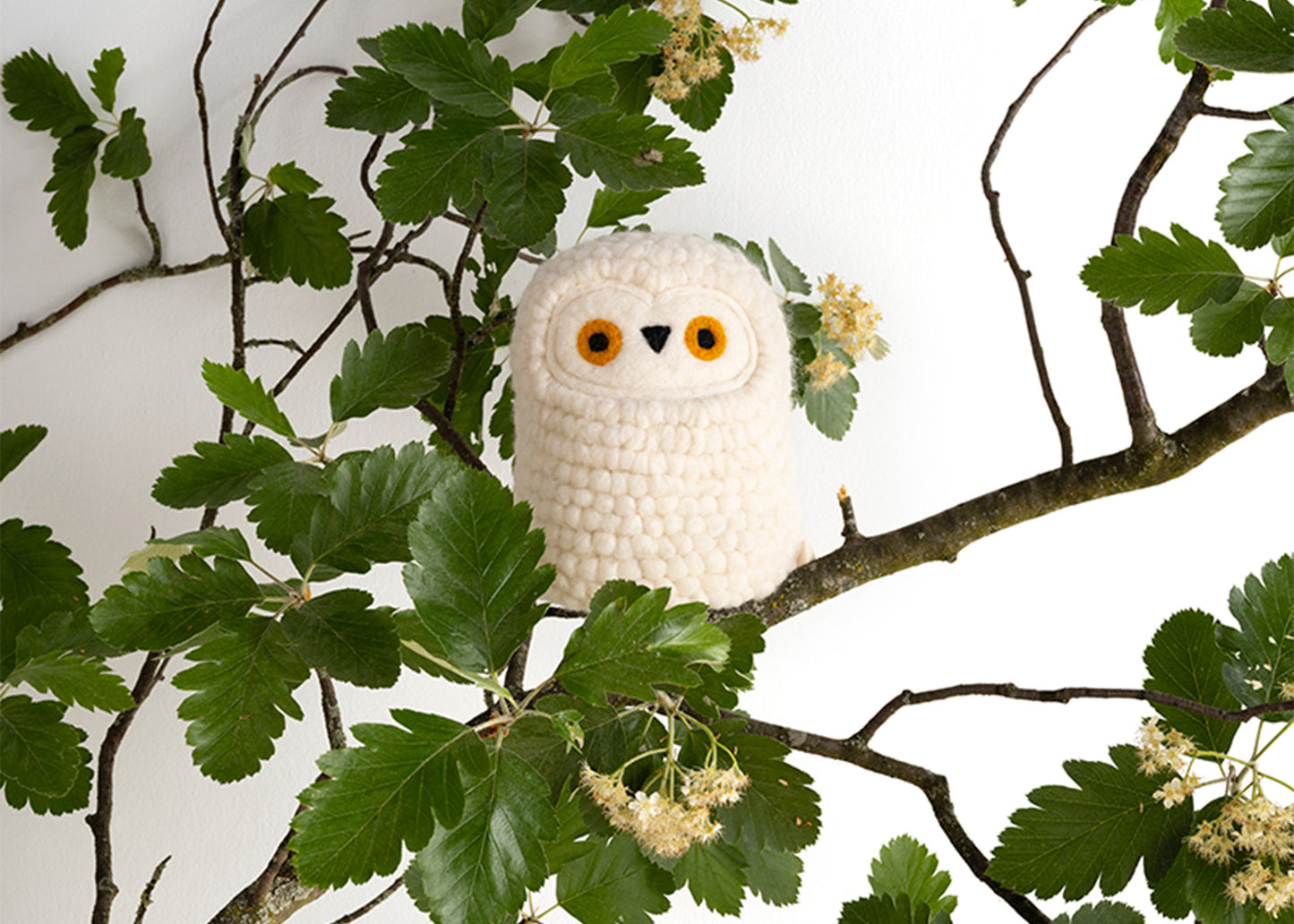Wool Owl Aveva