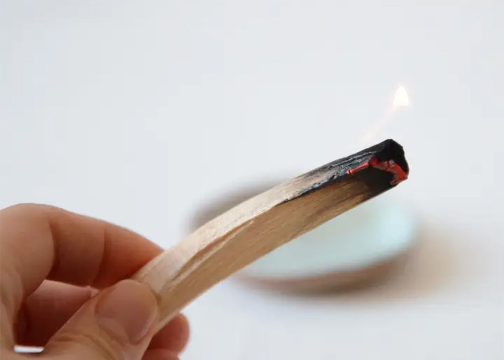 
                  
                    Palo Santo Wood Sticks
                  
                